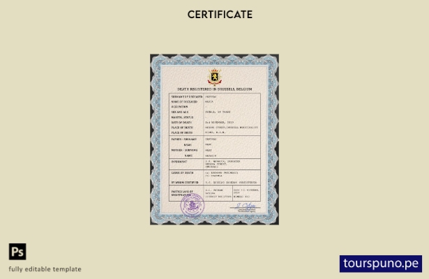 listo para imprimir plantilla PSD del certificado de defunción del registro ci 8